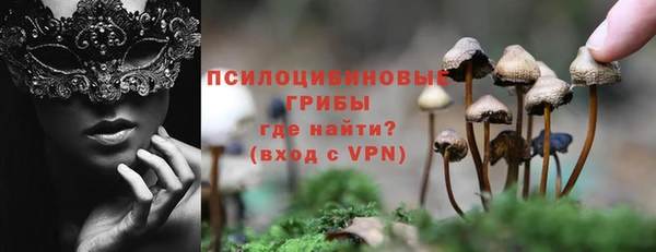 прущие крисы Богданович