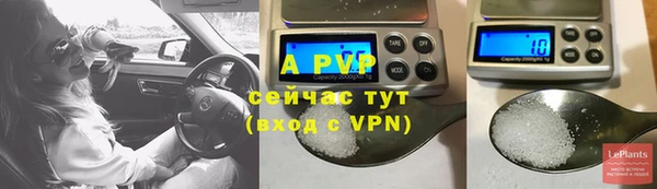 jwh Белокуриха
