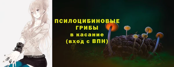 гашик Богородск
