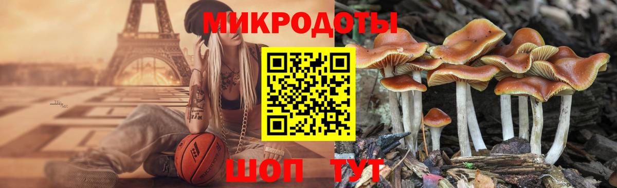Псилоцибиновые грибы мицелий  Вход с VPN  Кстово 